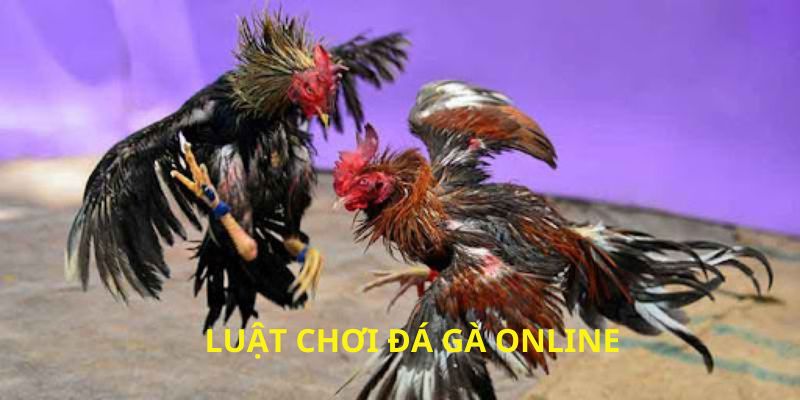 Luật chơi đơn giản