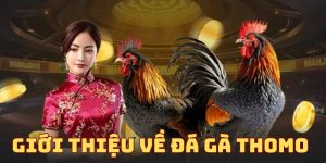 Giới thiệu về đá gà Thomo