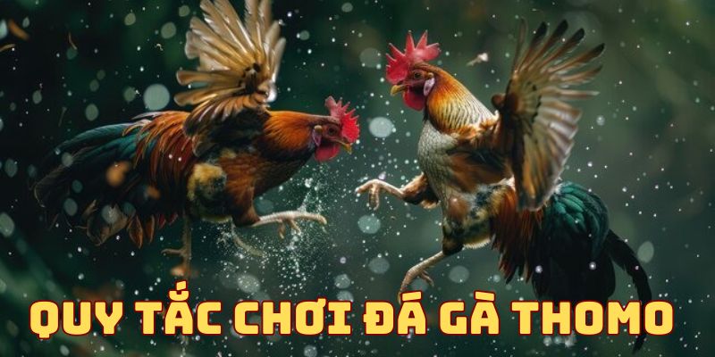 Luật chơi đá gà Thomo M88