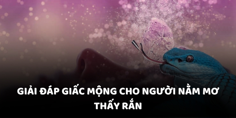Giải đáp giấc mộng cho người nằm mơ thấy rắn