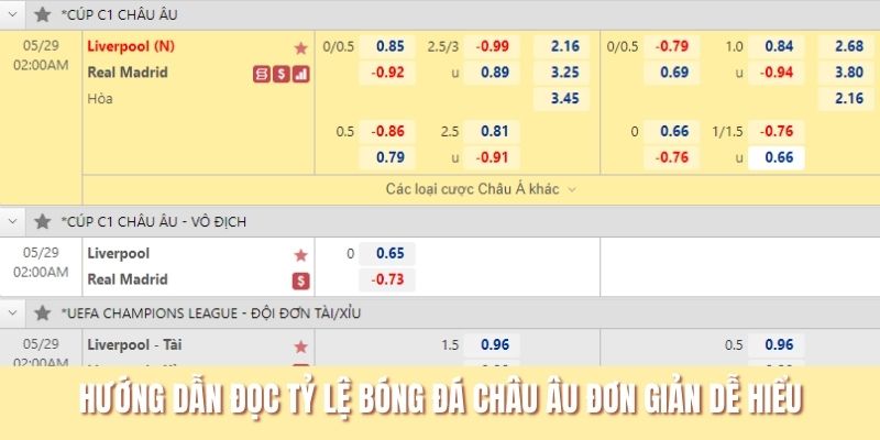 Hướng dẫn đọc tỷ lệ bóng đá châu âu đơn giản dễ hiểu