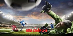 Cược chấp nửa trái luôn được các bet thủ ưa chuộng