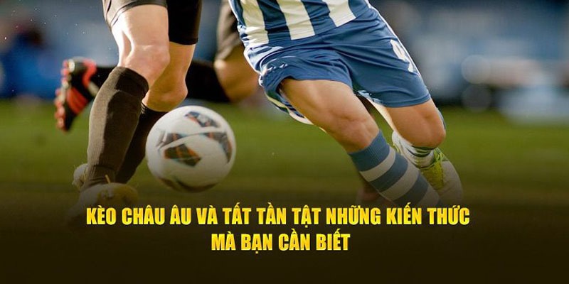 Luật đặt tiền cược 1x2 chi tiết cho người mới