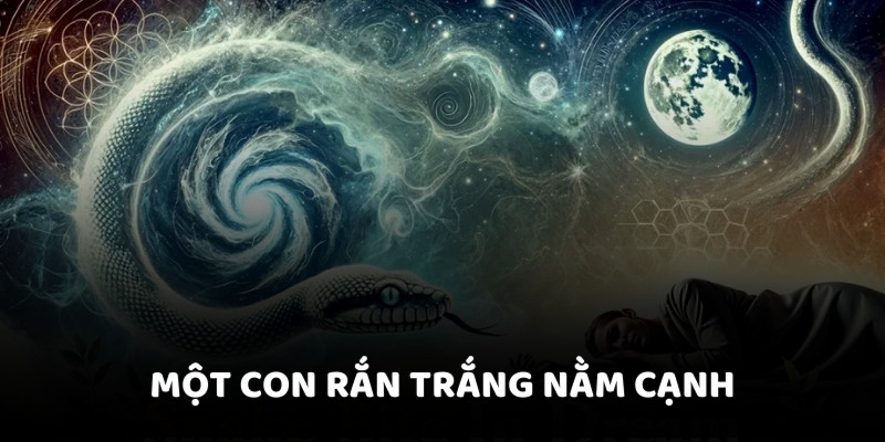 Một con rắn trắng nằm cạnh