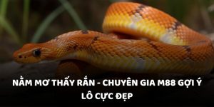 Nằm mơ thấy rắn