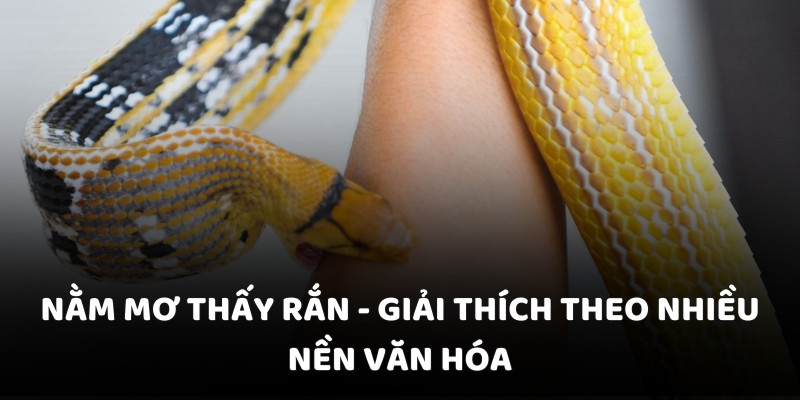 Nằm mơ thấy rắn - Giải thích theo nhiều nền văn hóa