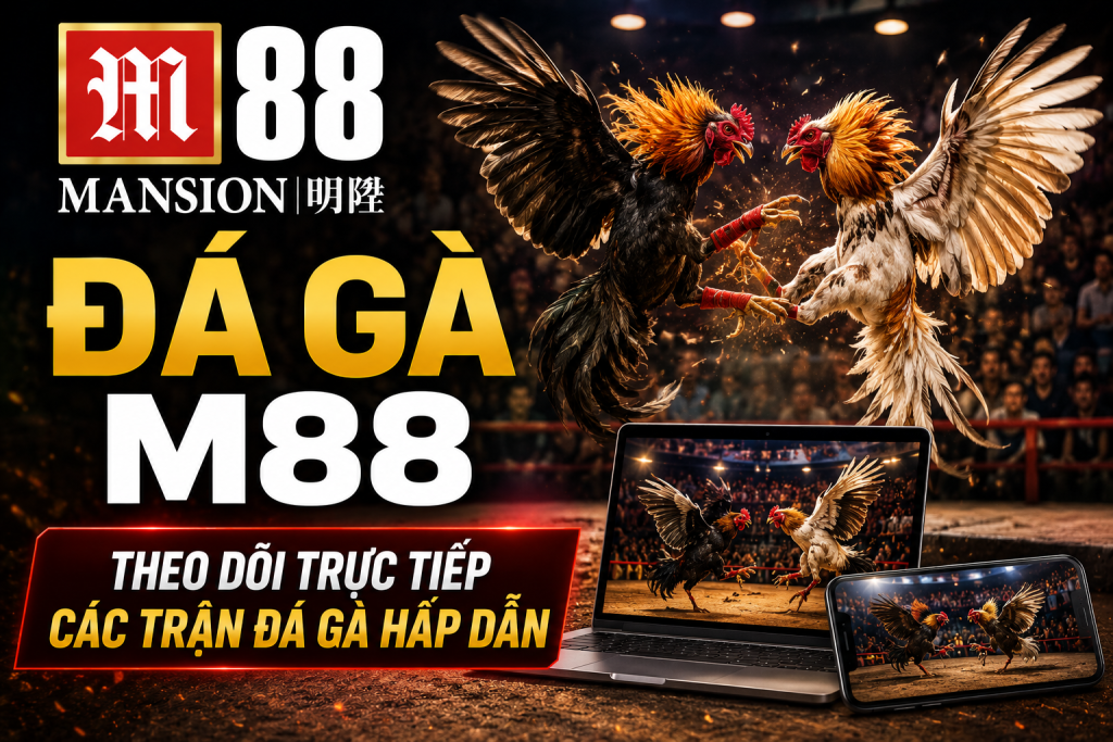 Tham gia đá gà m88 hấp dẫn